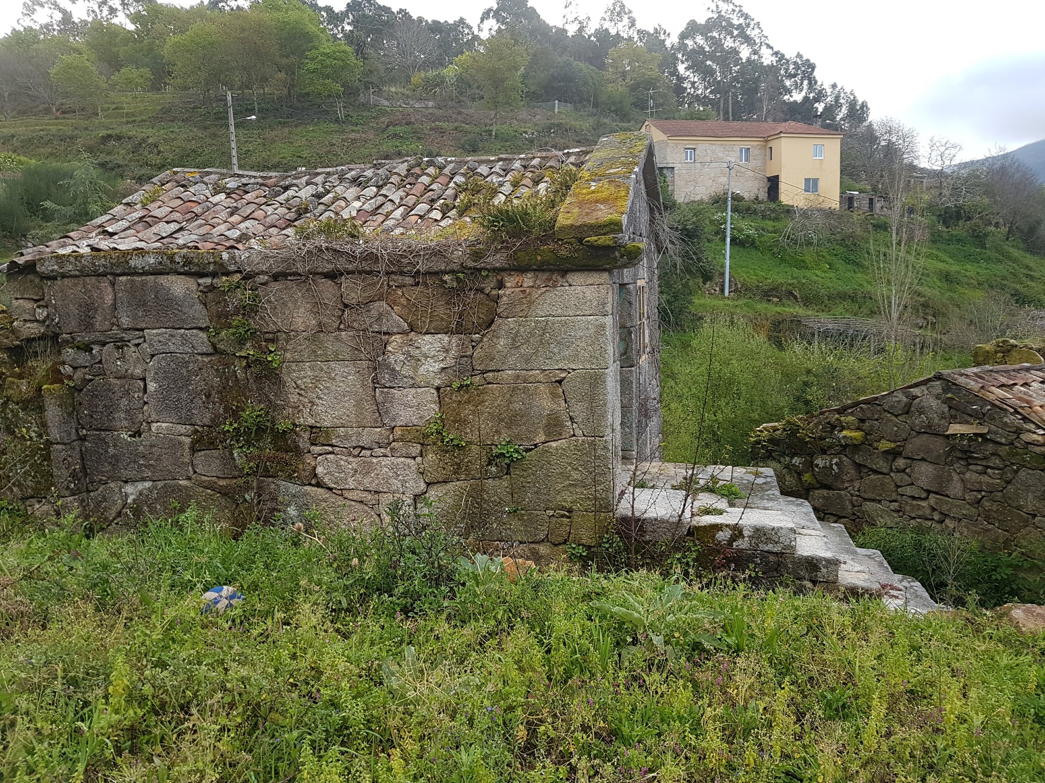 Deterioro y pudrición de forjados de madera bajo la cubierta por entrada continuada de agua