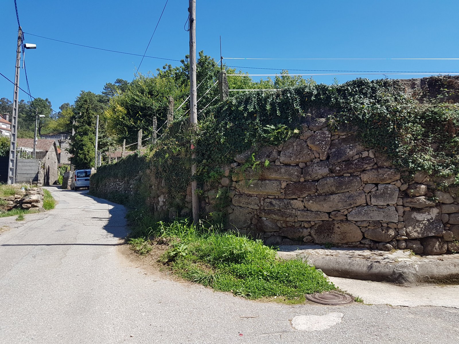 Estado inicial del muro en Gondomar invadido por hiedra
