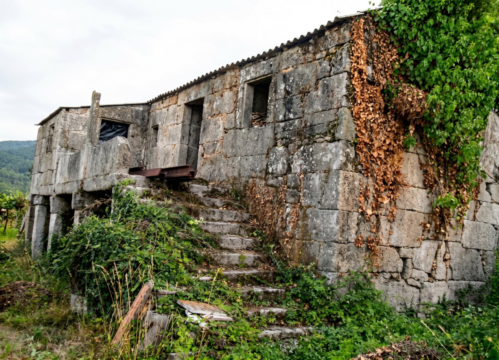 Estado inicial de abandono de casa de piedra con patín en Tui antes de su rehabilitación integral